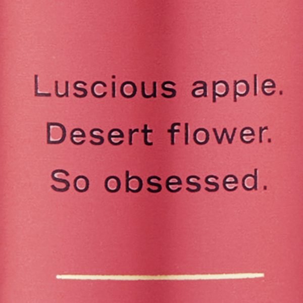 VICTORIA'S SECRET TEMPTATION BRUME CORPS – Image 2